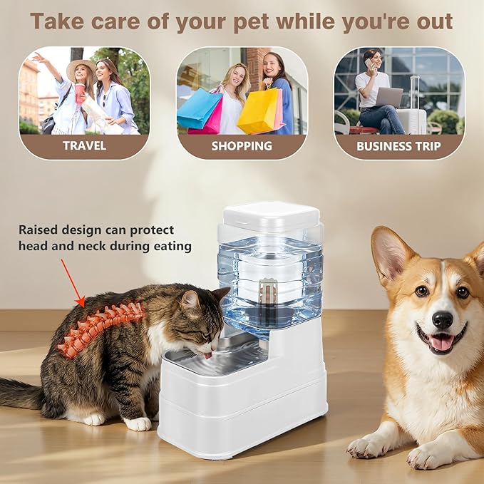 1.6 Gallon Pet Automatic Dog Water Dispenser Cat Gravity Waterer Feeder with Stainless Steel Bowl Large Capacity Puppy Feeding Raised Bowls with Filter,Ice Pack (White, 6L(1.6 Gallon))