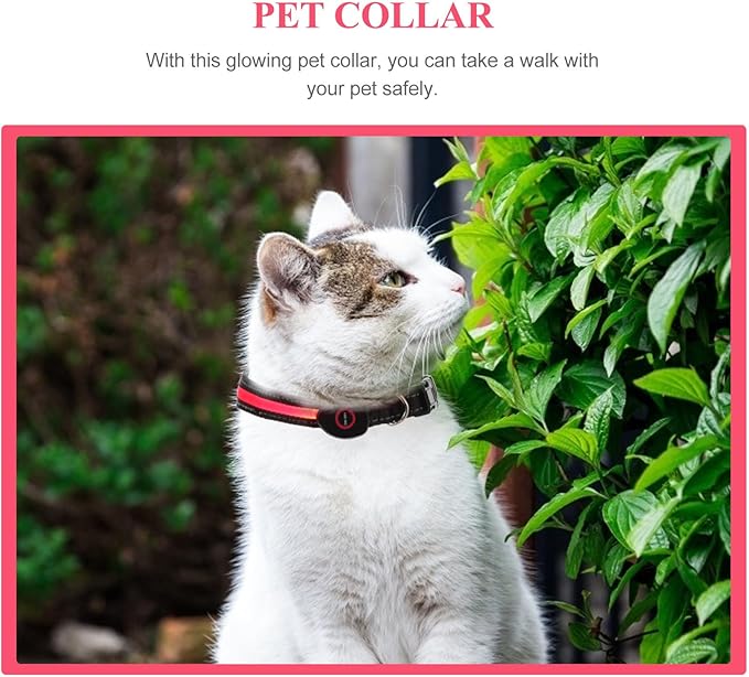 VALICLUD Rechargeable LED Pet Collar 50cm Red Luminous Dog Collar with USB Charging 3 Flashing Modes for Medium Dogs Like Small Breed Golden Retriever Bichon