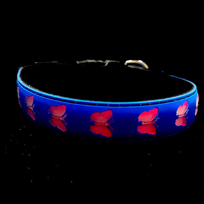 USB-C led Light up Dog Collar, 3D Design Comfortable and Soft Material,Multicolored Lighting，Night Dog Collar (BT-Blue, M(15.7-19.7"))