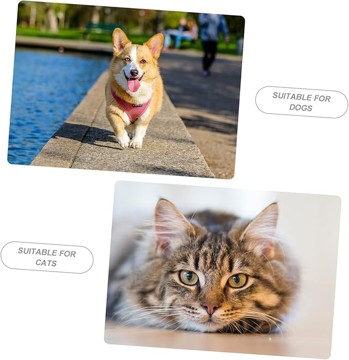 BESPORTBLE Automatic Pet Feeder with Capacity Food and Water Dispenser for Cats Dogs and Puppies Durable Feeding Bowl for Indoor Use Convenient and Easy to Clean