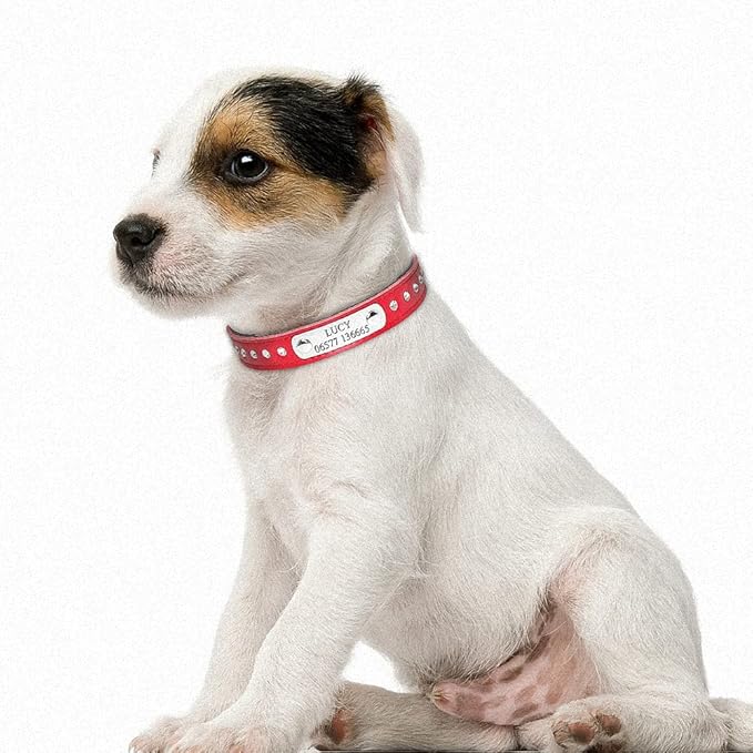 Custom Leather Dog Collars Adjustable Padded Rhinestone Personalized Dogs ID Collar Free Engraving for Small Medium Dogs Cats Red XS