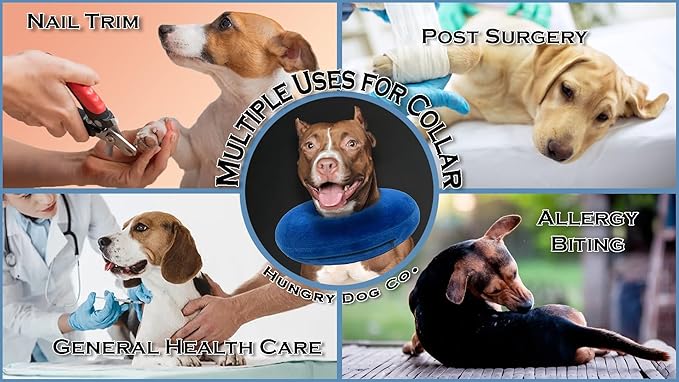 Hungry Dog Co.- Premium Inflatable Dog Collar for Dogs and Cats - Helps in Pet Recovery - Comfortable and Safe for Your Pet - Soft E-Collar – Dark Grey, Small (5”- 8” Neck)