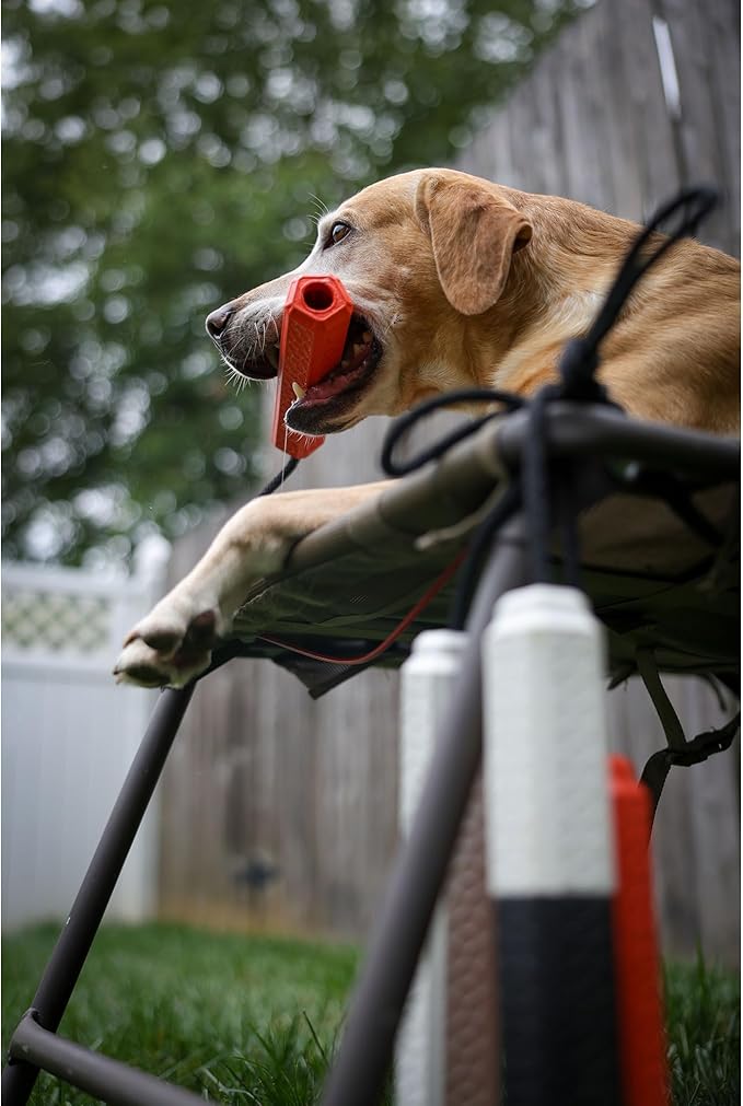 Momarsh Floating Dog Training Bumper | Durable Dummy with Easy Launch Rope | Advanced Waterfowl Hunting Retriever Dog Tool | Enhance Agility and Obedience