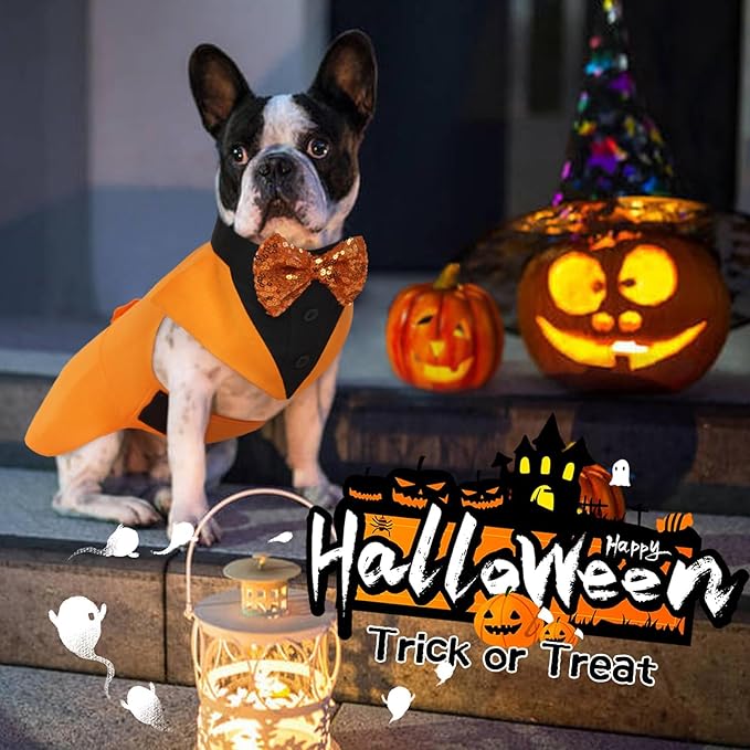 Kuoser Dog Tuxedo Suit and Bandana Set, Pumpkin Color Dogs Thanksgiving Outfit Adjustable Dog Halloween Costume with Bow Tie for Large Medium Small Dogs Golden Retriever Samo Bulldogs, M