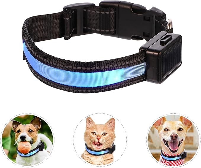 Kisangel LED USB Rechargeable Glowing Pet Collar, Blue Small LED Dog Collar with Flashing Light for Night Safety, Waterproof Light-up Puppy Necklace for Outdoor and Travel
