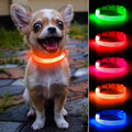 Light Up Dog Collar - Rechargeable LED Dog Collar, Adjustable Reflective Puppy Collar, Glowing Safety Dog Lights for Small Breeds Dogs Cats (Orange)