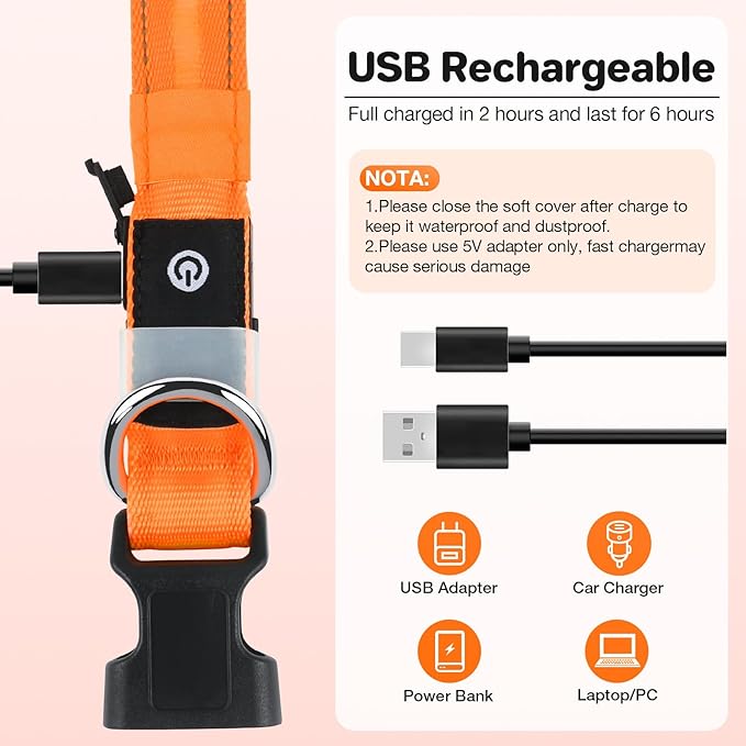 Light Up Dog Collar, USB Rechargeable 6 Modes, Waterproof Charging Port, Long Lasting LED Collar - Adjustable Nylon Reflective for Dogs, Sizes S/M/L (7/9/11 Lights) - 5 Colors (Orange, S)