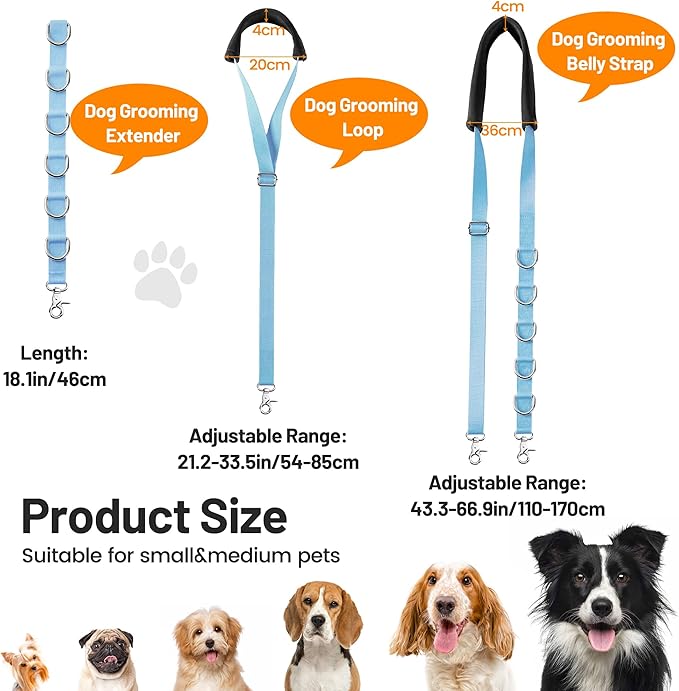 Dog Grooming Belly Strap - Dog Grooming Table Arm Extender with Clamp Extension Loop Bathing Restraint Leash No Sit Haunch Holder for Small & Medium Dogs Hair Cutting Washing (Blue)