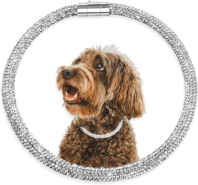 Stylish and Luxurious Diamond Dog Collar,Magnetically Absorbent Clasp,Full Diamond Design,Perfect for Wedding and Everyday Walking - Studded with Diamons Necklace Collar for Medium Dogs,18''