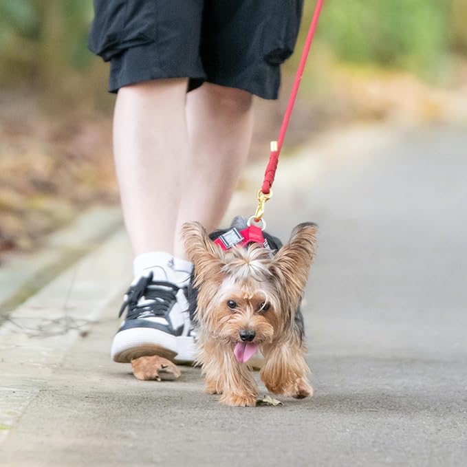 Durable Handwoven Dog Leash for Small & Medium Dogs, 5/16 inch Rope Lead with Anti-Tangle Swivel Clip, Soft & Lightweight, 5FT Long – Ideal for Daily Walking & Training (Burgundy Red)