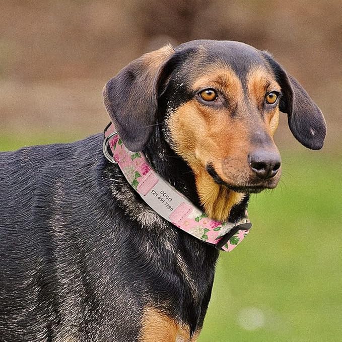 Flower Printed Dog Collar Custom Nylon Puppy Pet Collar Personalized Pitbull Collars Pets Acessorios for Small Medium Large Dog Pink L