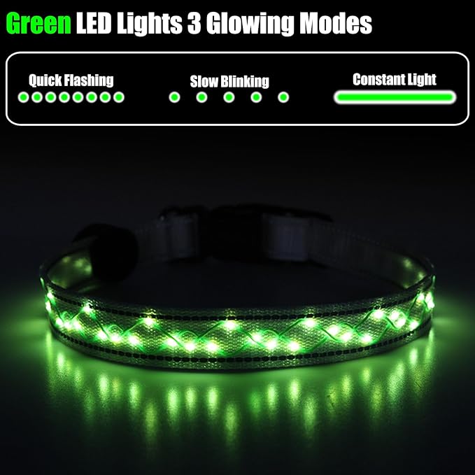 Luwint Stylish Light Up Dog Collar, LED Dog Collar USB Rechargeable - Safety Glow in The Dark for Night Walking & Camping | Adjustable, Waterproof, High Visibility Green