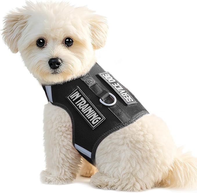 Dog Harness for Puppy – Adjustable Reflective Easy Put On Soft Mesh Vest for Small Dogs with 2 Patches (Black,S)