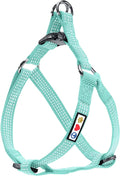 Pawtitas Reflective Step-in Dog Harness – Adjustable No-Pull Vest for Puppies to Seniors, Safe & Comfortable, M Teal