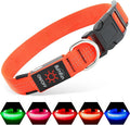 Illumifun Light Up Dog Collar USB Rechargeable LED Dog Collar, Adjustable Blinking Dog Light for Large Dogs (OrangeⅢ, Large)