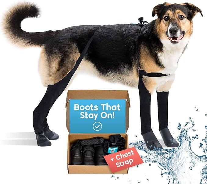Updated Version - 100% Waterproof Dog Boots with Leggings – Stay-On Paw Protectors with Chest Strap for Rain & Snow, Anti-Slip Traction, Adjustable Fit, Machine Washable (Black, M)