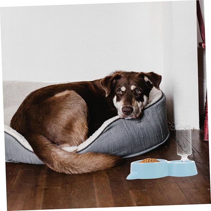 1pc Pet Feeder and Water Dispenser Practical Cat Bowl Automatic Dog Bowl Replaceable Water Bottle Choke Stainless Steel Design for Cats and Dogs