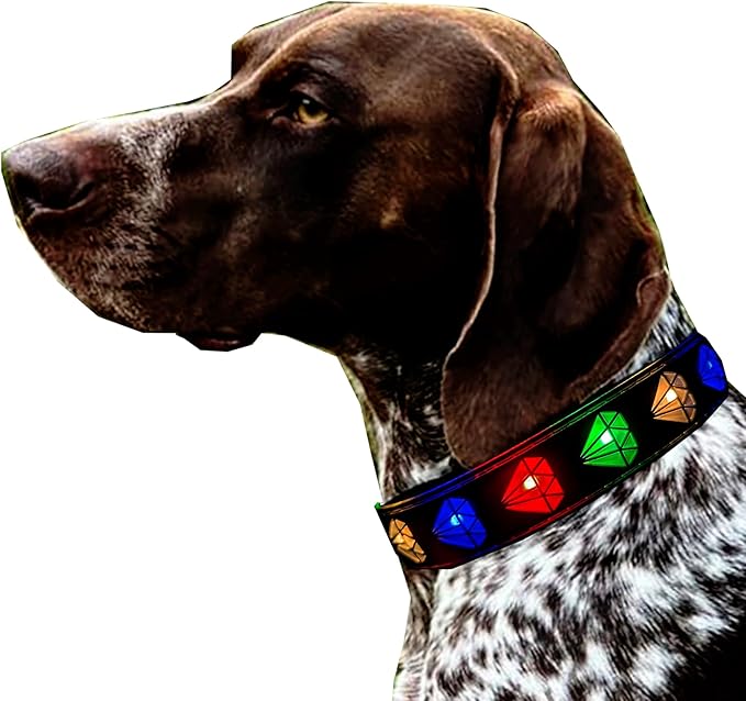 Subversive USB-C led Light up Dog Collar,Star Running LED Design Comfortable and Soft Material,Multicolored Lighting (DM-Black, XL(19.7-23.6"))