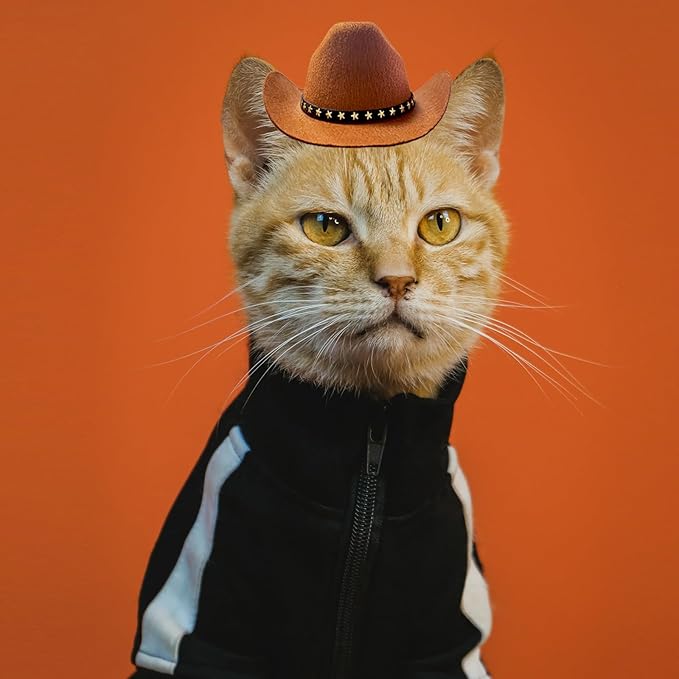 Dog and Cat Cowboy Hat with Bandana Scarf - Mini Pet Costume for Halloween, Holiday, Party Decoration (Brown, Small)