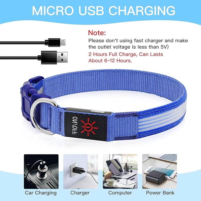 YFbrite Light up Dog Collar, USB Rechargeable LED Puppy Collar Super Bright Adjustable Glowing Dog Lights for Night Walking (Design-2- Blue, Medium)