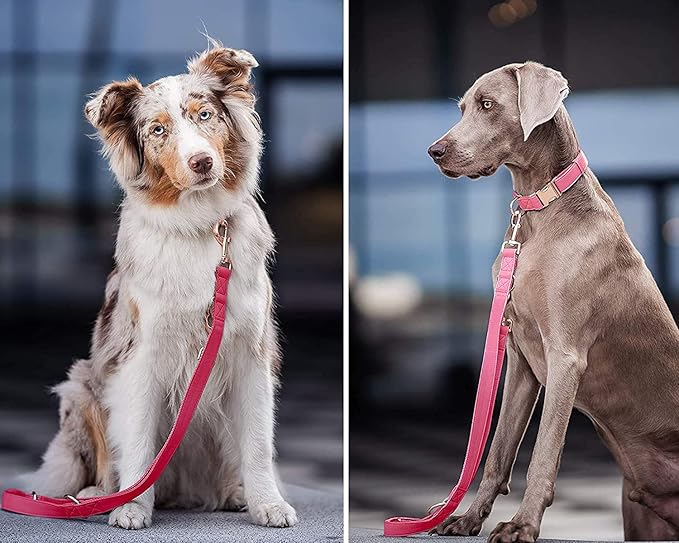 Soft Leather Dog Collar and Leash (6.6') Set - Stylish Rose Gold Heavy Duty Metal Buckle, 4 Adjustable Lengths Leash for Small Medium Large Dogs - Comfortable & Easy to Clean Dark Pink XS(8"-12")
