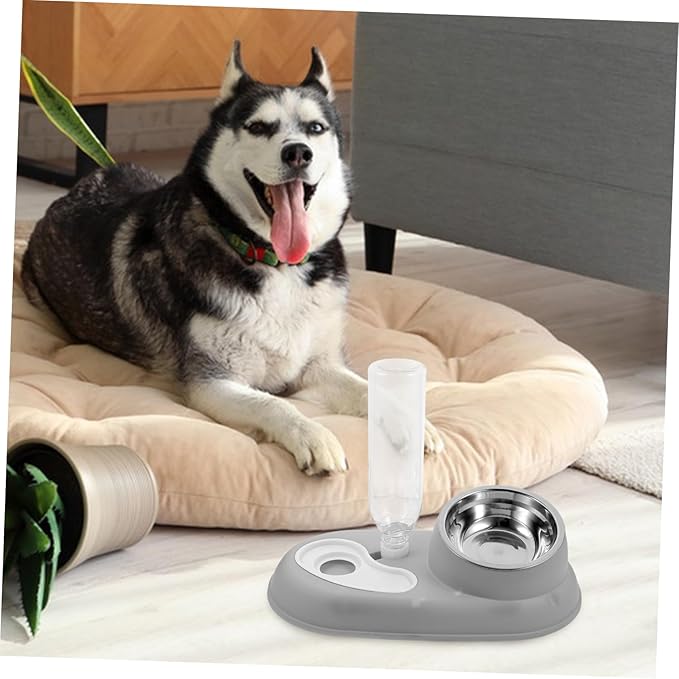 Automatic Feeder Multi-Function Food Bowl Transparent Water Container for Easy Monitoring Pet Supply for Home Use and Healthy Growth