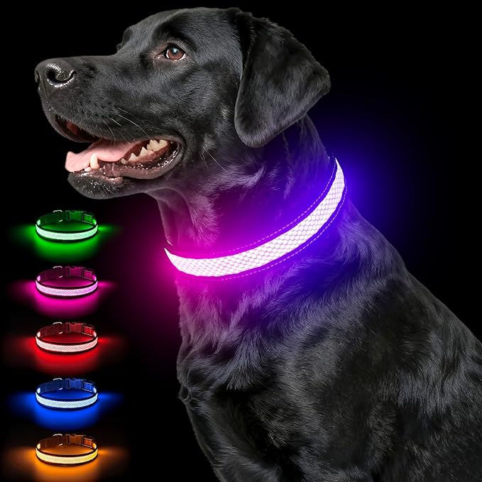 Multicolor Light Up Dog Collar, 5V Waterproof Led Dog Collar Rechargeable, 200 mAh Adjustable Glow in The Dark Dog Collars with 11 Light Modes for Small, Medium, Large Dogs Walk for Night (Large)