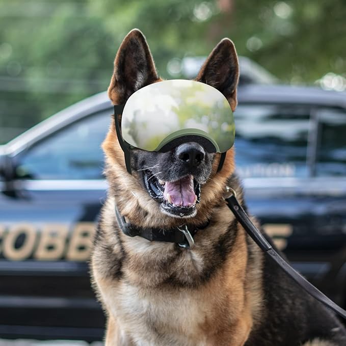 NAMSAN Dog Goggles for Large Dogs, Black/Silver Lenses Replaceable, Anti-UV Sunglasses for Dogs Medium to Large Breeds, Driving Dog Eye Protection, Windproof Dustproof, Adjustable, Green