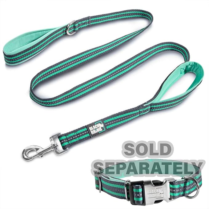 Black Rhino Heavy Duty Dog Leash for Medium and Large Dogs - 5 ft Long Double Handle Dog Leash with Padded Traffic Control Handles - Reflective, Durable, and Weather Resistant (Aqua and Gray)