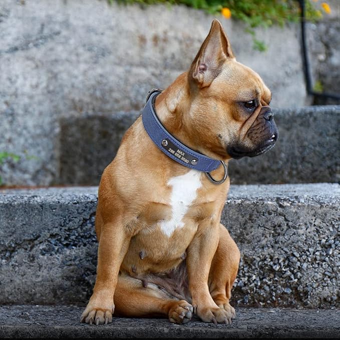 Custom Leather Dog Collar Personalized Small Dogs Collar Engraved Cat Pet Small Medium Large Dogs Collars for Pitbull Chihuahua Blue M