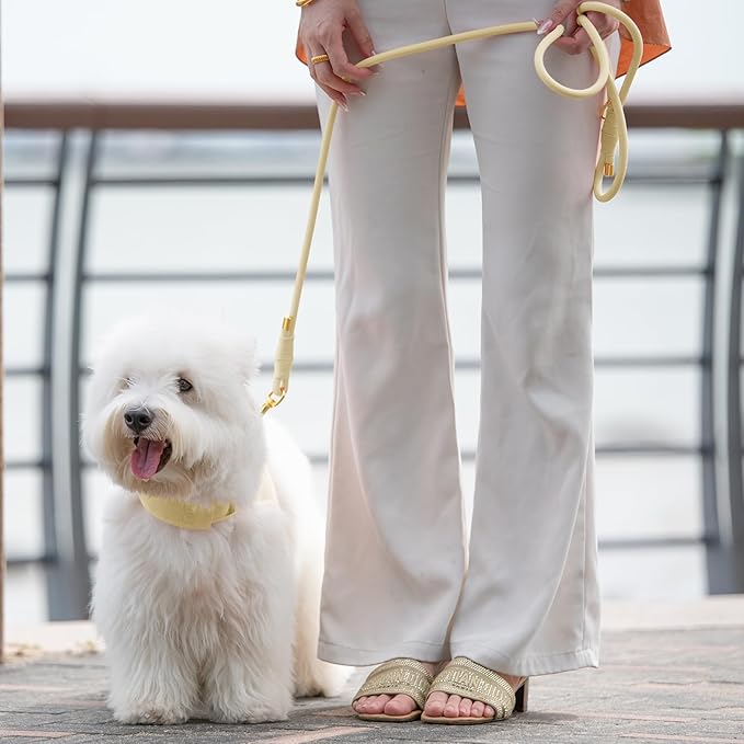 Durable Handwoven Dog Leash for Small & Medium Dogs, 5/16 inch Rope Lead with Anti-Tangle Swivel Clip, Soft & Lightweight, 5FT Long – Ideal for Daily Walking & Training (Light Yellow)