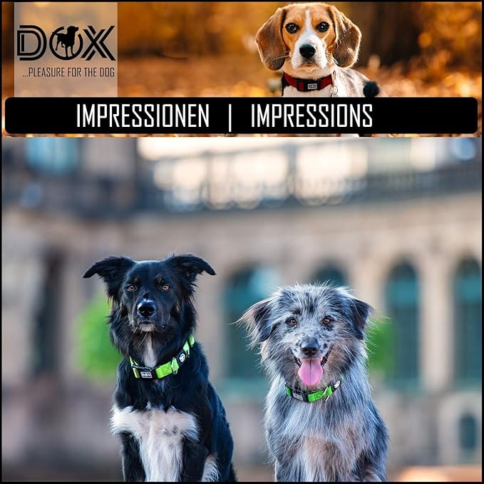 DDOXX Airmesh Dog Collar - Strong and Adjustable Collars Dogs - Medium (Black)