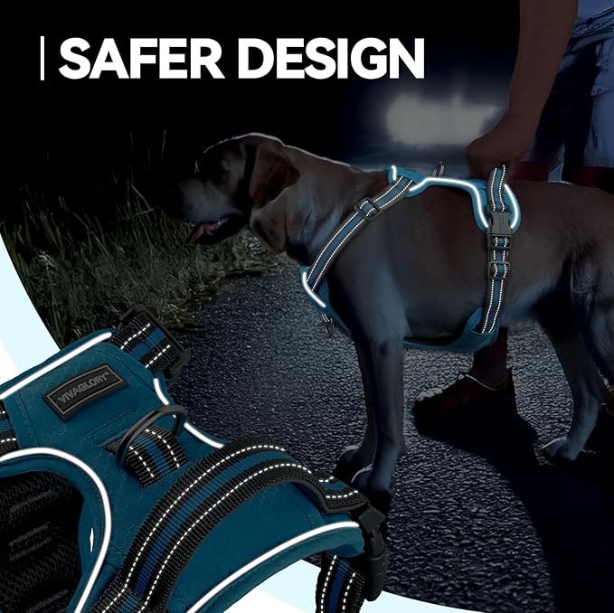 VIVAGLORY Dog Harness Easewalk No Pull Dog Harness with Handle Front Clip & Back Clip for Training Walking Lifting, No Pull Adjustable Easy On Padded Comfortable for Pet, XL, Sky Blue - Patterned