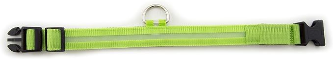 Green Light-Up LED Adjustable Pet Collar (Flashing or Steady Modes) - Rechargeable via USB Cable (Included) by Electronix Express (Medium)