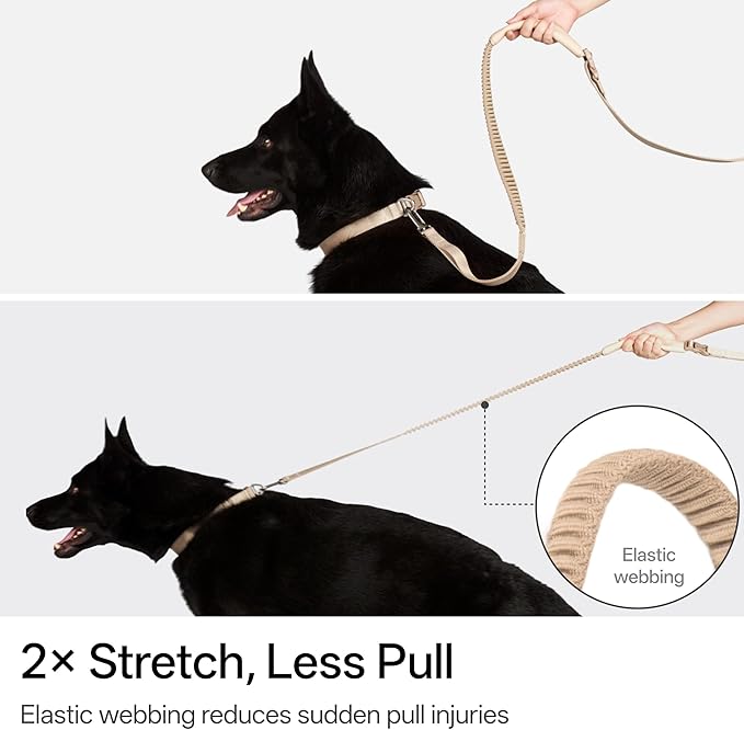 Hands Free Dog Leash Adjustable Versatile Crossbody Waist Dog Leash Reflective Comfortable Padded Handles Shock Absorbing Walking Lead for Small Medium Large Dogs (Super Reflect-Earth, S)