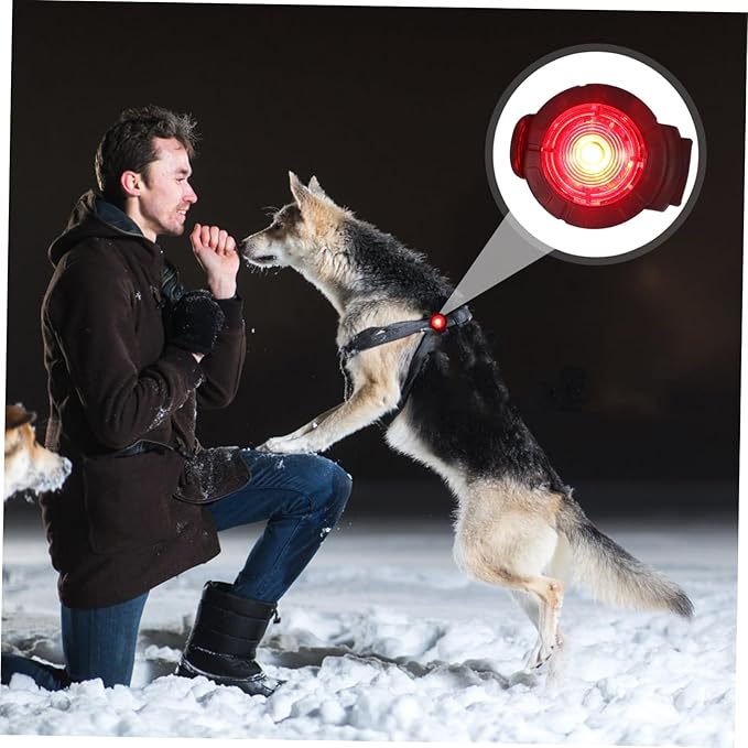 DOITOOL Pet for Dog Walking Rechargeable Led Collar Lamp for Night Visibility Outdoor Pet Light for Evening Walks and Outdoor Activities
