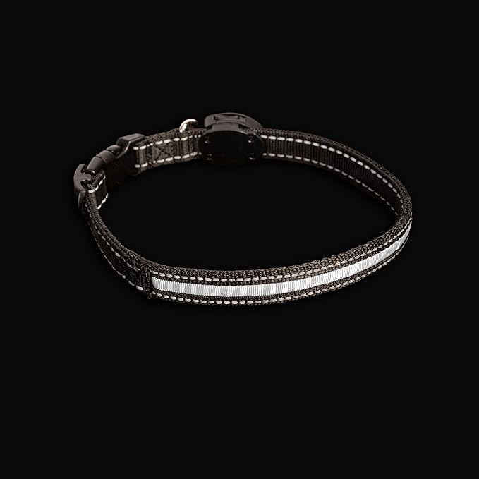 Sherry Kline LED Light-Up Pet Collar - USB Rechargeable - Flashing Glow in The Dark Size Medium, Color: White