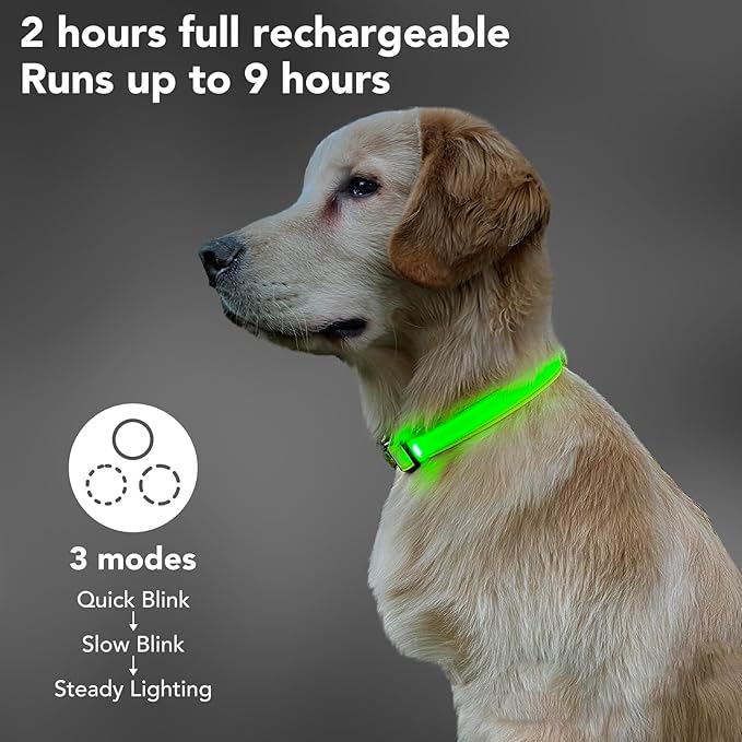 LED Light Up Dog Collars Micro USB Rechargeable Waterproof, Full Adjustable Lighted Glow Dark Dog Collar Light for Night Walking for Small Medium Large Dogs, Green