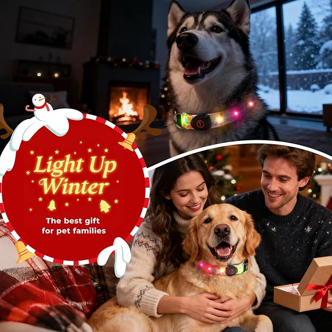 Light Up Dog Collar, LED Dog Collar Glow in The Dark - USBC Rechargeable, 3 Flashing Modes Adjustable Glow Collar, Safety Fashionable Cute Dog Light Up Collars for Medium Large Dogs Orange