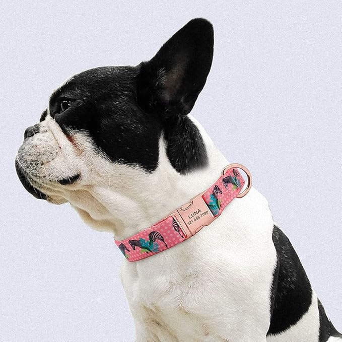 Fashion Custom Dog Collar Nylon Print Personalized Pet Collar Puppy Dog ID Collars Free Engraved ID for Small Medium Large Dogs 132 Pink 40 to 57 cm
