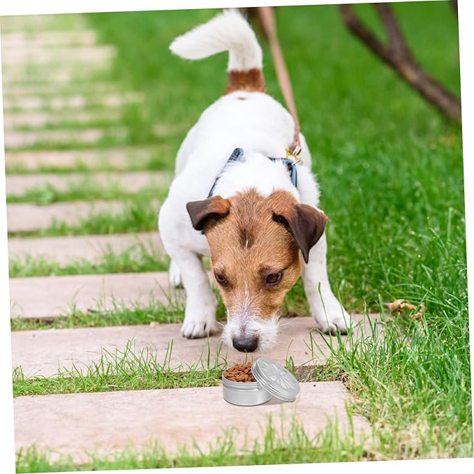 SUPVOX 1set Dog Scent Dog Scent Training Tins Adhesive Pads for Nose Training Lightweight Containers