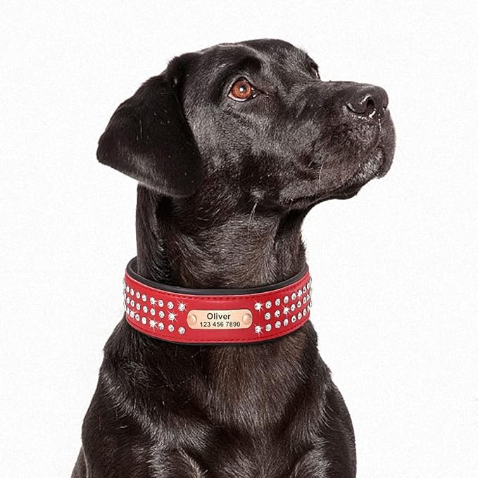Personalized Crystal Leather Dog Collar Custom Rhinestone Dog Collars with Buckle Free Engraved ID Collar for Medium Large Dogs Red M