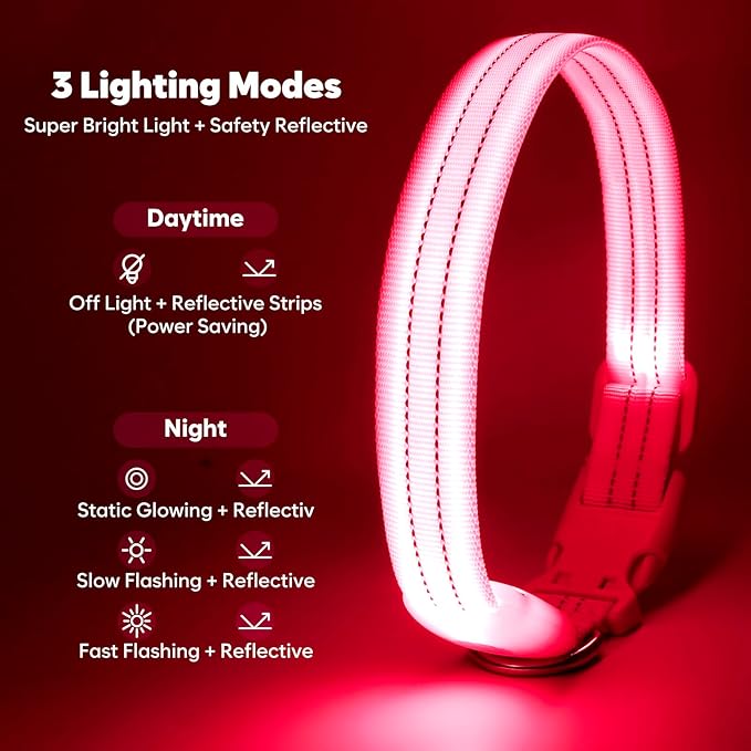 LED Lighted Reflective Dog Collar for Night Safety, USB Rechargeable, Glow Collar for Dogs, Waterproof Adjustable Flashing (Pink, Large)
