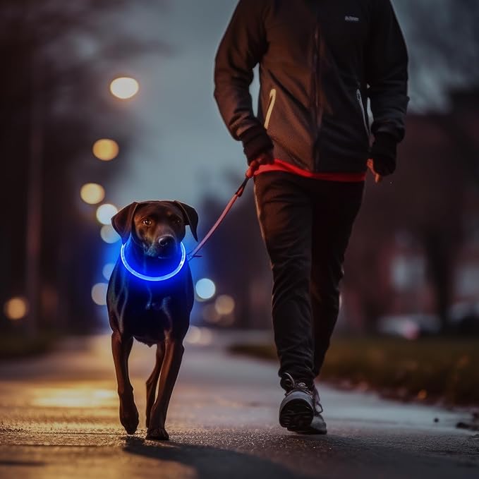Higo 2 Pack Light Up Dog Collar, USB Rechargeable, Led Lighted, Glow in Dark, Fits Small, Medium, Large Dogs (Pink+Blue)