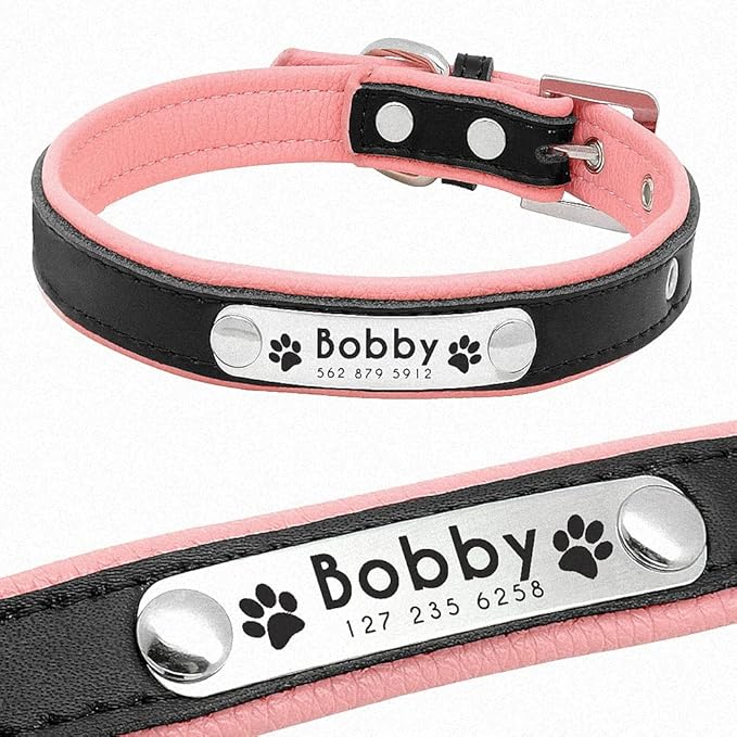 Personalized Dog Collars Leather Padded Customized Dogs Collars Name ID Collar for Small Medium Dogs Cats Blue Pink Black Red