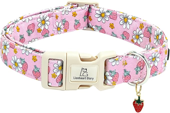 Lionheart glory Dog Collar Strawberries Print Pink Dog Collars Girl Spring Summer Cute Collar Pet Gift Durable Adjustable Dog Collar for Medium Dogs