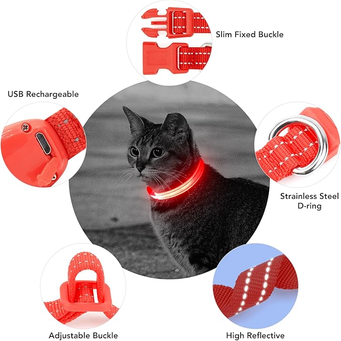 Light up Dog Collar for Small Dog,Vizpet XS Adjustable Size Nylon Collar USB Rechargeable Bright Safety Pet Collar for Cats Dogs (Red，XS)