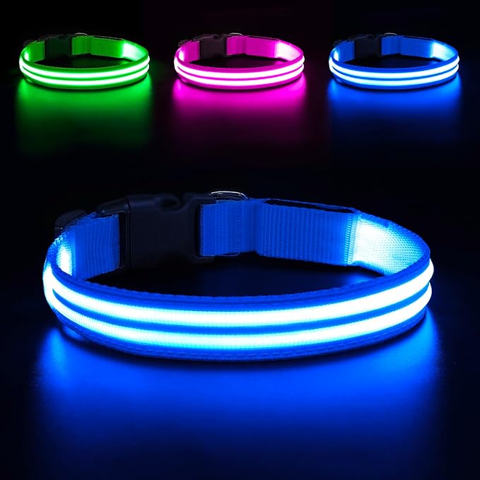 BSEEN Light Up Dog Collar - High Visibility LED Dog Collar Rechargeable Glow in The Dark Pet Collars Safety Dog Lights for Night Walking (Blue, Large)