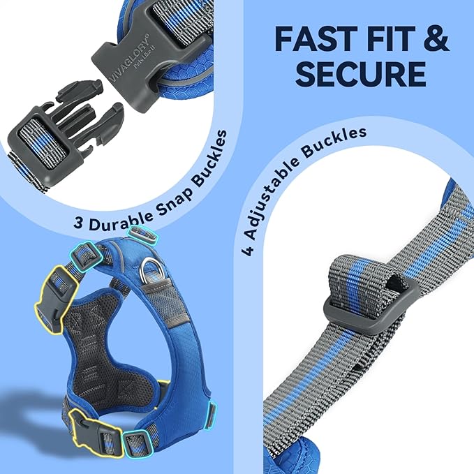 VIVAGLORY Dog Harness Easewalk No Pull Dog Harness with Handle Front Clip & Back Clip for Training Walking Lifting, No Pull Adjustable Easy On Padded Comfortable for Pet, M, Royal Blue - Patterned