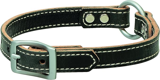 Terrain D.O.G. Bridle Leather Ring-In-Center Dog Collar 3/4" x 13"